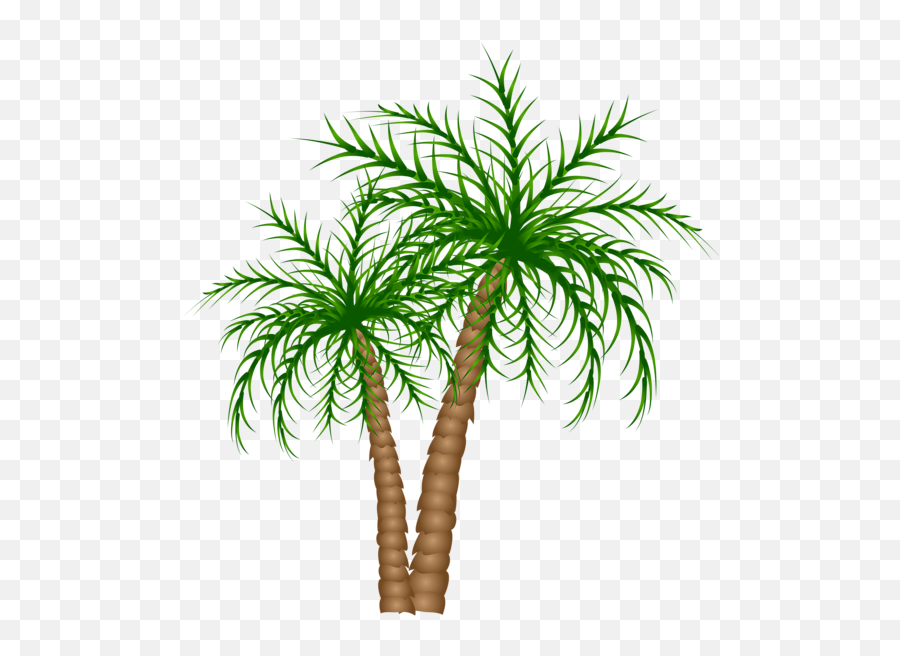 Download Hd Palm Tree Png Palm Trees Picture Tree Tree - Date Tree Clipart Png Emoji,Palm Tree Emoji