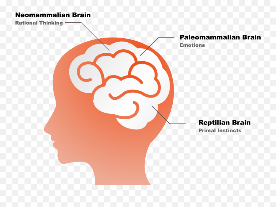 Befit Ui Case Study - Solakidis Solakidis Panagiotis Four Chemicals Of The Brain Emoji,Primal Emotions