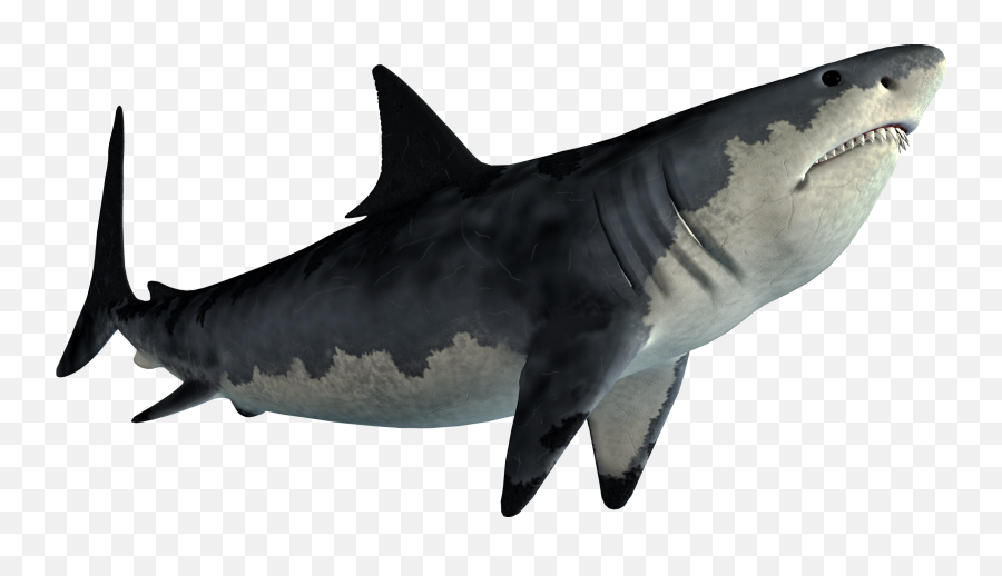 Shark Sticker - Jaws Png Emoji,Shark Emoji