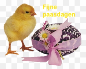 Babyboomer - Easter Emoji,Emoticon Indignado