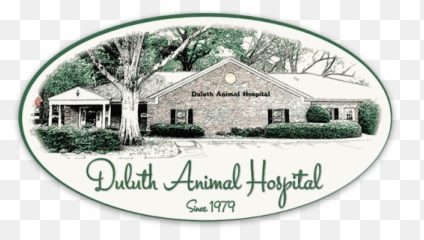 Newsletter - Duluth Animal Hospital Logo Emoji,African Wild Dog Ears Emotions
