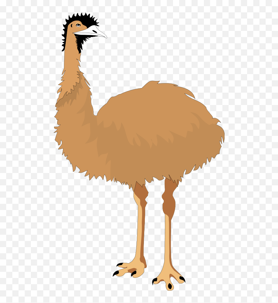 Legs Clip Art - Emu Clipart Emoji,Ostrich In Sand Emoticons