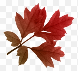 Autumn Png Leaf Transparent Hd Emoji,Fall Leaves Emojis