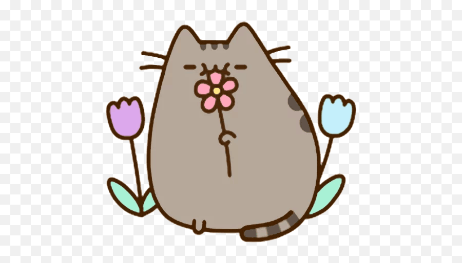 Download Pusheen Kitten Area Flower Cat - Pusheen Cat Emoji,Pusheen Emotions