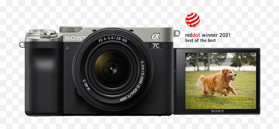 Sonyu0027s Alpha 7c And Zv - 1 Pawgraphy By Sony Emoji,Slow Shutter Speed Photogrphy With Emotion Sonyu0027s Alpha 7c And Zv - 1 Pawgraphy By Sony Emoji,Slow Shutter Speed Photogrphy With Emotion