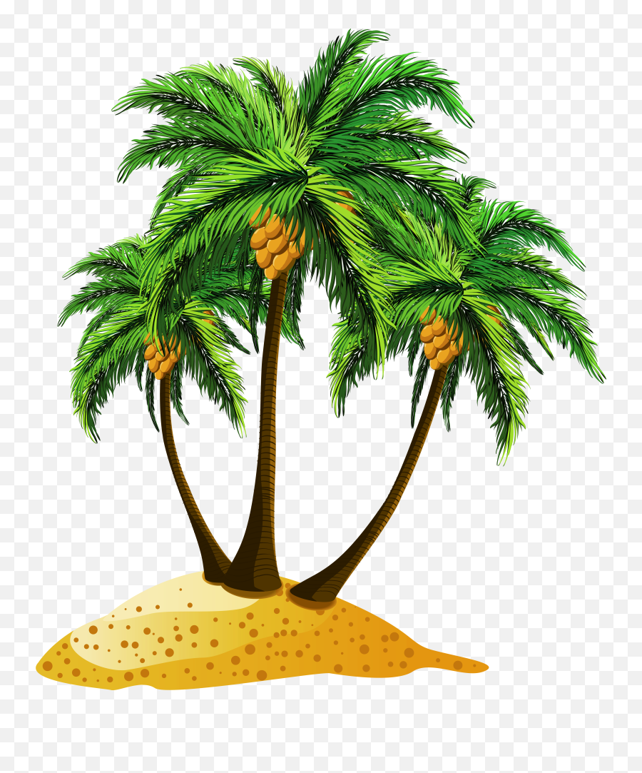 Palm Tree Beach Png Full Size Png Download Seekpng - Coconut Tree Clipart Png Emoji,Palm Tree Emoji