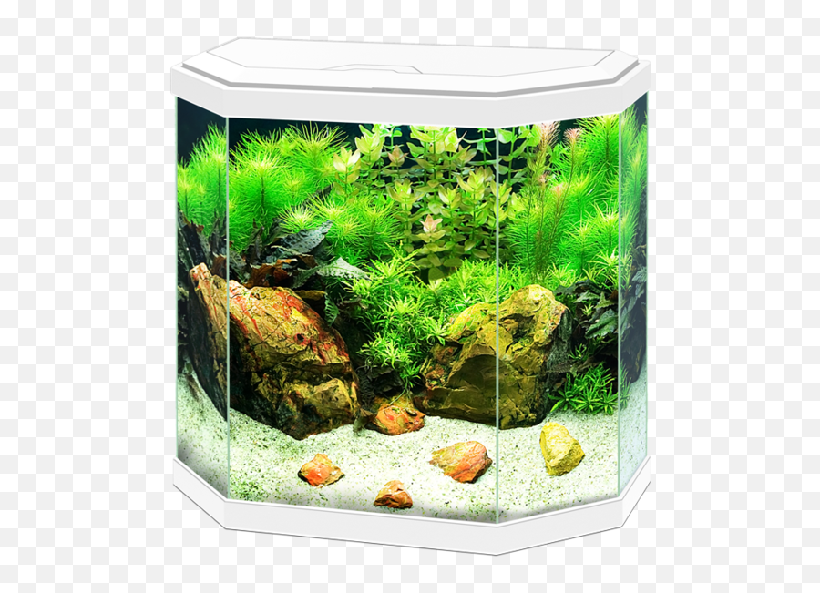 Ciano Aqua 30 Led - Ciano Fish Tank Emoji,Ciano Emotions 80