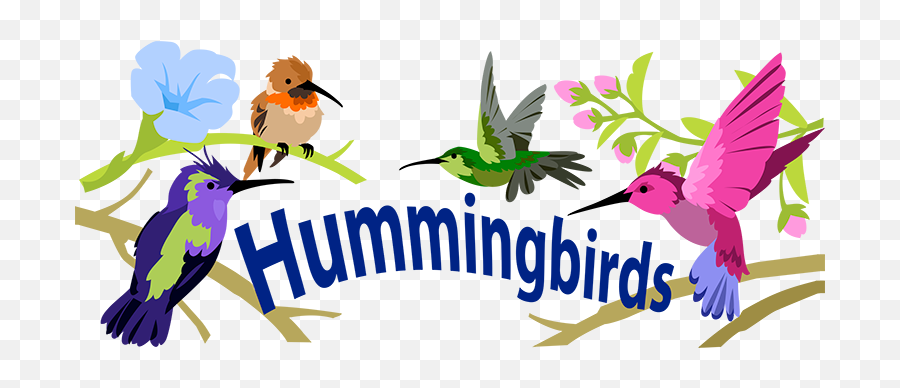 Hummingbird Ecology - Hummingbirds Header Emoji,Little Clay Emotion Birds