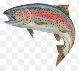 Carbon School District - Fish Trout Emoji,Elementary School Yearbook Ideas Emojis