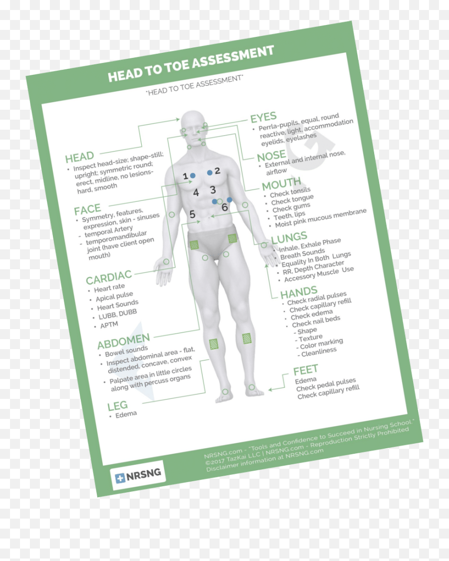 Head To Toe Assessment Nursing Cheat Sheet - Slide Share Cheat Sheet Head To Toe Assessment Emoji,Siims 4 Emotions Cheat