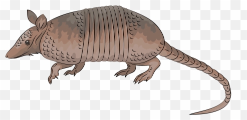 Nine - Armadillo Clipart Emoji,Armadillo Emoji