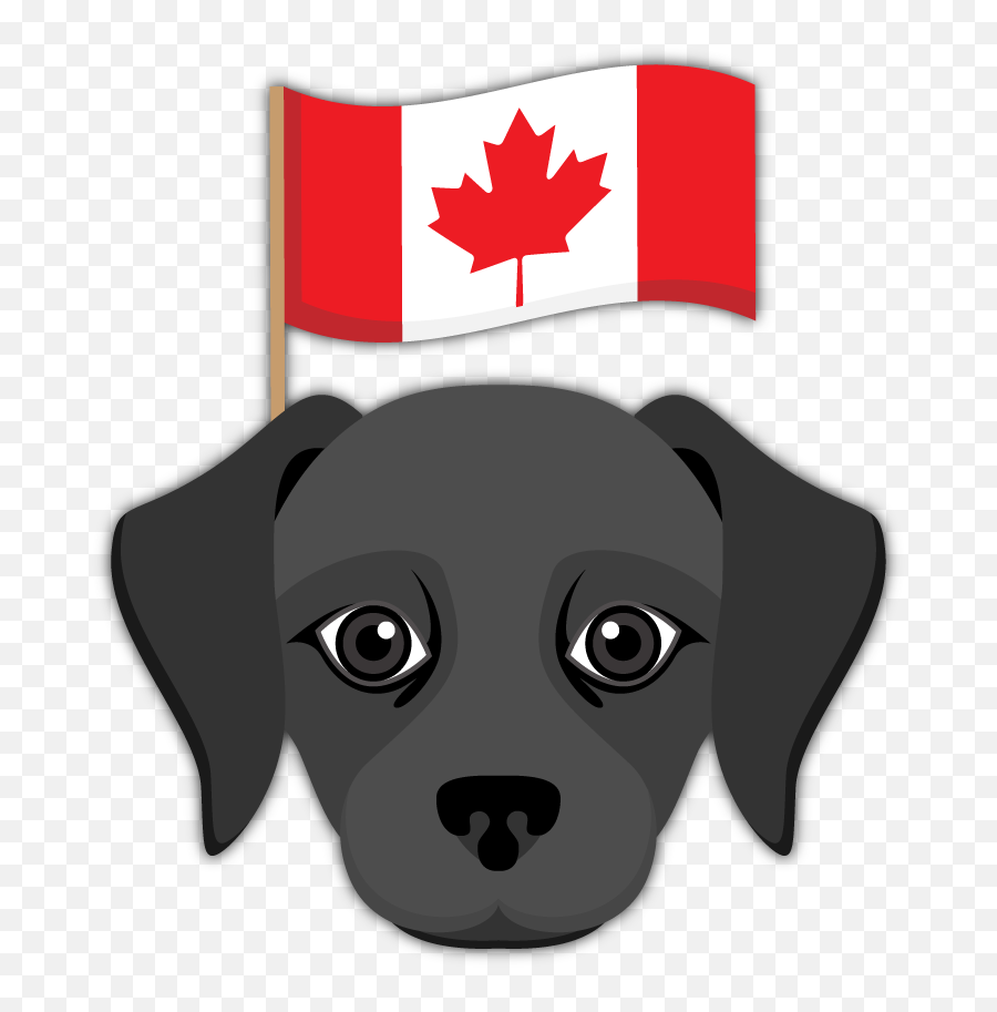 Black Labrador Emoji Blacklabsmatter Send Your Friends - Labrador Emote,Salad Emoji