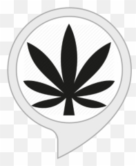Amazoncom Cannabis Facts Alexa Skills Emoji,Cannabis Emoticon