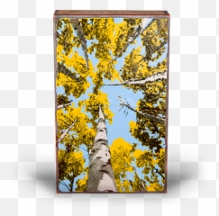 Products Tagged Houston Llew - Rfd Emoji,Canvas Decor Emojis