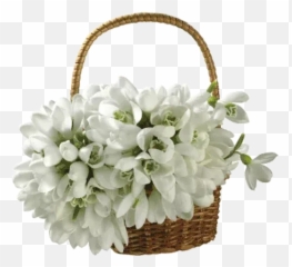 White Flowers Ykinanah Sticker Pack - Stickers Cloud Emoji,Flower Girl Emojis