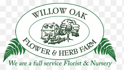Severn Florist Flower Delivery By Willow Oak Flower U0026 Herb Emoji,Into My Garden Built Within The Emotions Of A Flower