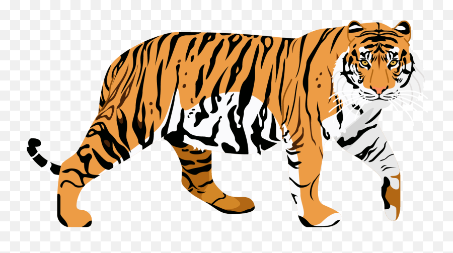 The Cool Club Tiger Poster Emoji,Bengal Tiger Emoji