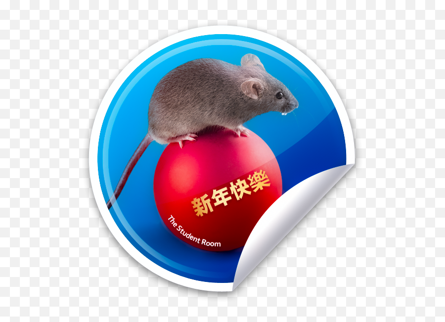 Chinese New Year 2020 - Design A Rat And Win It The Brown Rat Emoji,Emoticons Hehehe
