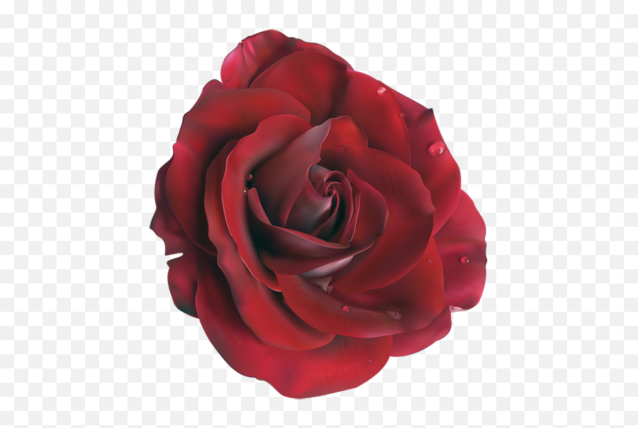 Rose Vector Clipart - Black Rose Petal Png Transparent Background Emoji,Two Roses Emoji