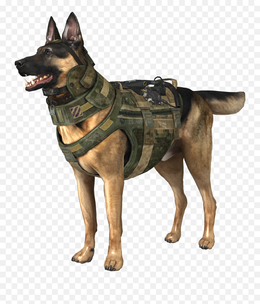 70 German Shepherd Png Images Ideas German Shepherd Dogs - Transparent Police Dog Png Emoji,How To Tell German Shepherds Emotions By Their Ears