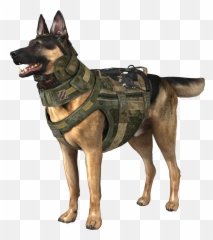 70 German Shepherd Png Images Ideas German Shepherd Dogs - Transparent Police Dog Png Emoji,How To Tell German Shepherds Emotions By Their Ears