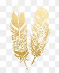 Newborn Home - White Boho Feathers Transparent Background Emoji,