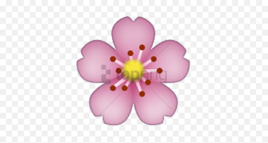 Free Png Download Flower Emoji - Transparent Background Cherry Blossom Emoji,Flower Emojis Transparent Hd