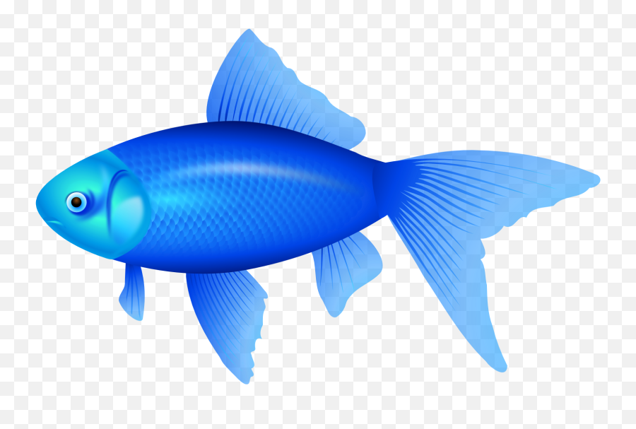 Meat Clipart Blue Fish Meat Blue Fish Transparent Free For - Blue Fish Clip Art Emoji,Fish Emoji Pillow