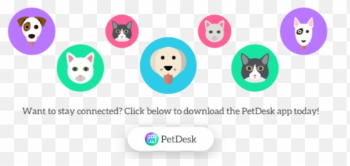 Patient Resources Benarda Veterinary Hospital - Dot Emoji,Cute Emoticon Msn