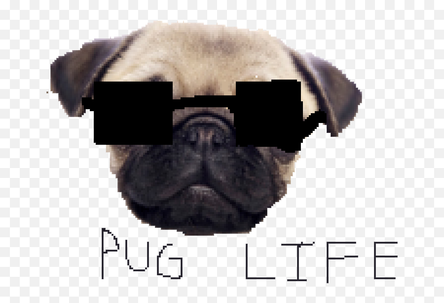Clipart Dog Pug Clipart Dog Pug Transparent Free For - Clip Art Emoji,Pug Emoticons For Iphone