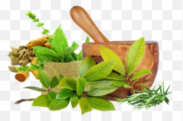 The Most Renowned Siddha Care - Health Ayurveda Emoji,Work Emotion T7r 300zx
