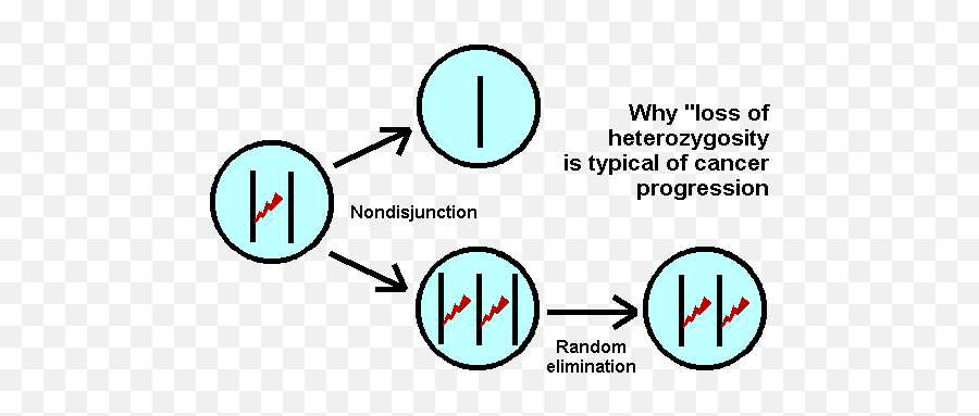 Cancer Causes And Effects - Dot Emoji,Visualization How Hormones Influence Our Emotions Gif