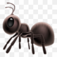 The Most Edited Ant Picsart Emoji,Emoticon Of An Ant