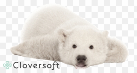 Go For It 6 - Life Is Hard Baamboozle Emoji,[goforit] Emoji