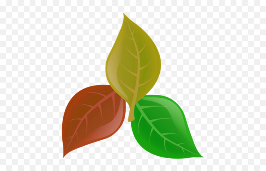 Updated Plantassoc - Companion Planting Pc Android Emoji,Basil Leaf Emoji
