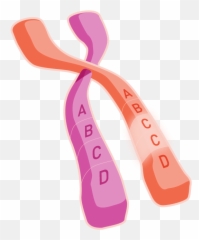 What Causes Genetic Conditions - Hemdifferently Emoji,Pink Bow Emoji Meaning
