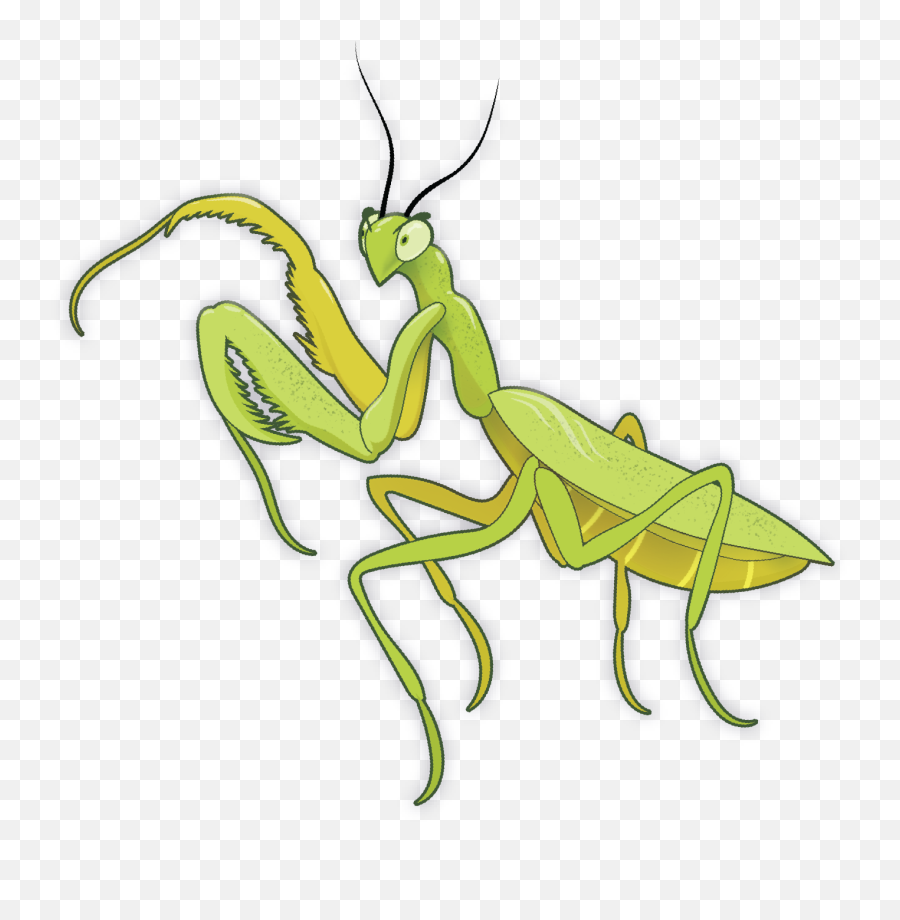 Papp International - Parasitism Emoji,Mantis Emoji