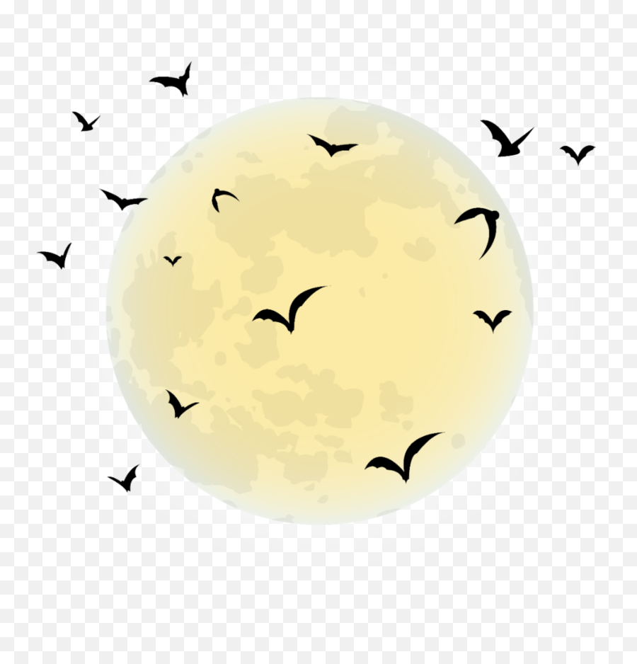 Popular And Trending Luau Stickers Picsart - Full Moon Emoji,Luau Emoji