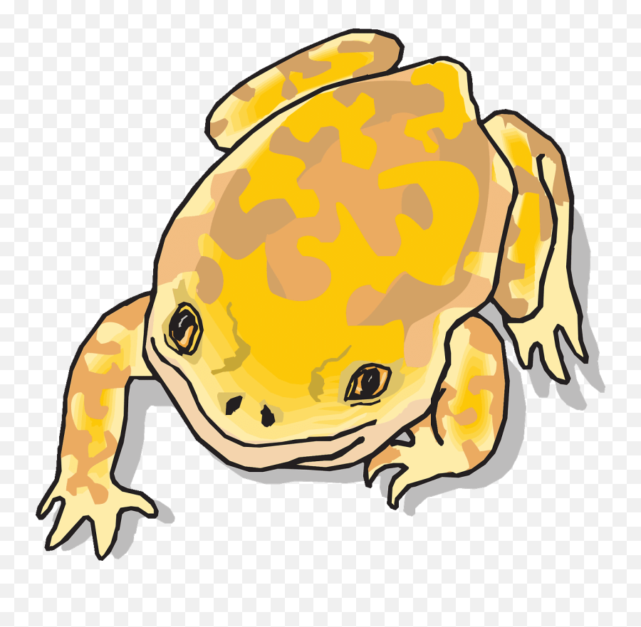90 Free Toad U0026 Frog Illustrations - Pixabay Clip Art Emoji,Frog Emoji Hat
