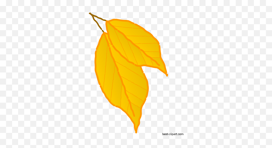 Free Fall Autumn Clip Artt - Plant Pathology Emoji,Fallen Leaves Emoji