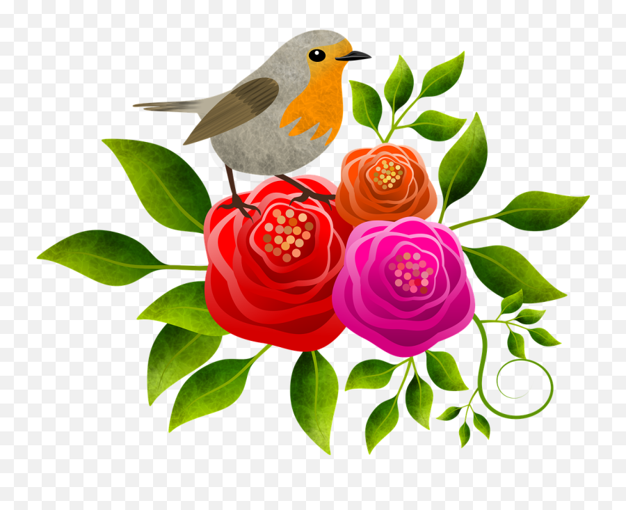 Free Photo Animal Roses Floor Bird Flowers Floral Redhead - Burung Dan Bunga Mawar Emoji,Bird Emoticon Html