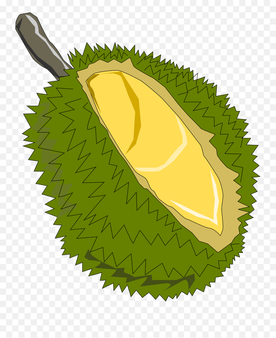 Durian Thai Fruit Clipart - Jackfruit Clipart Emoji,Thai Flag Emoji