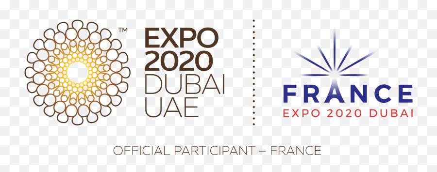 Expo 2020 Dubai - Dot Emoji,French Tpr Feelings Emotions Vocabulary