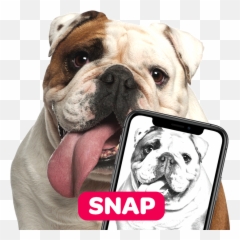 Learn About Crayola Color Camera App Com Anime Dog Coloring - Crayola Color Camera App Emoji,Dog Emoji Copy And Paste