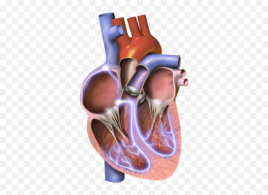 For Doctors - Upolife Emoji,Ekg Emotions