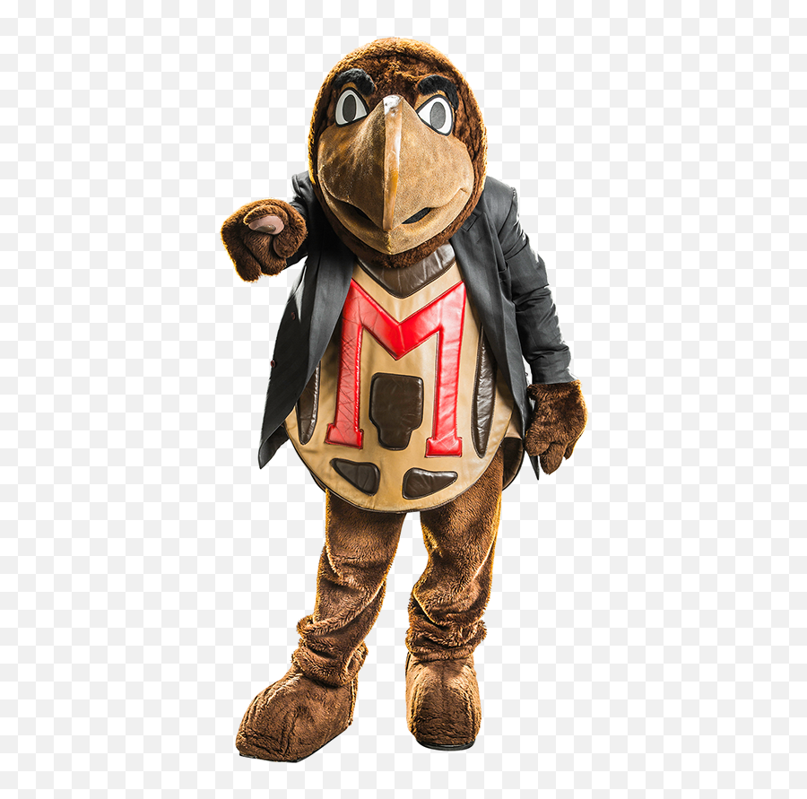 Ftt2016 Home Umterps - Bird Emoji,Umd Testudo Emoticon