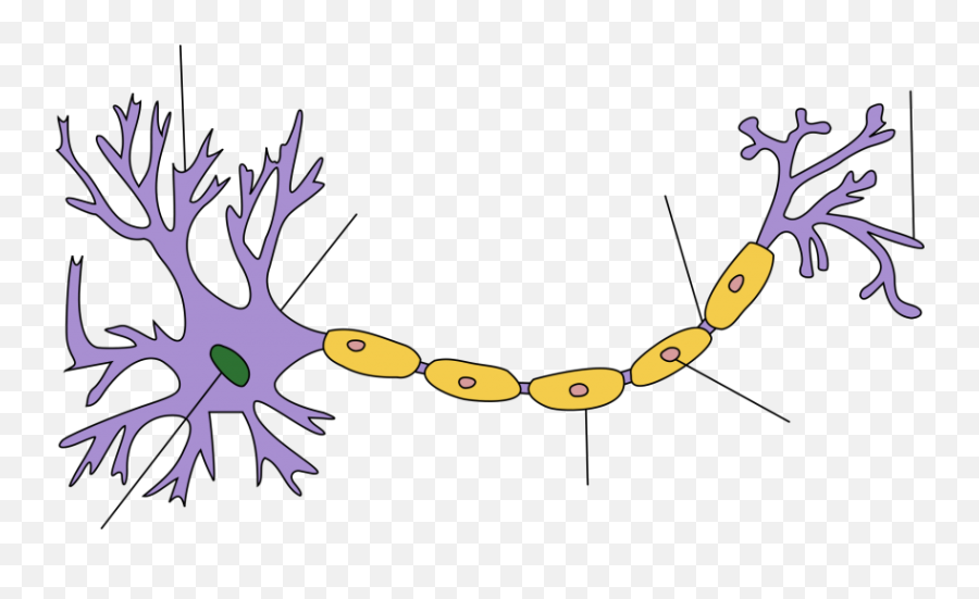 The Power Of The Brain United Eventures - Label The Parts Of A Neuron Emoji,Anthropomorphize Emotions