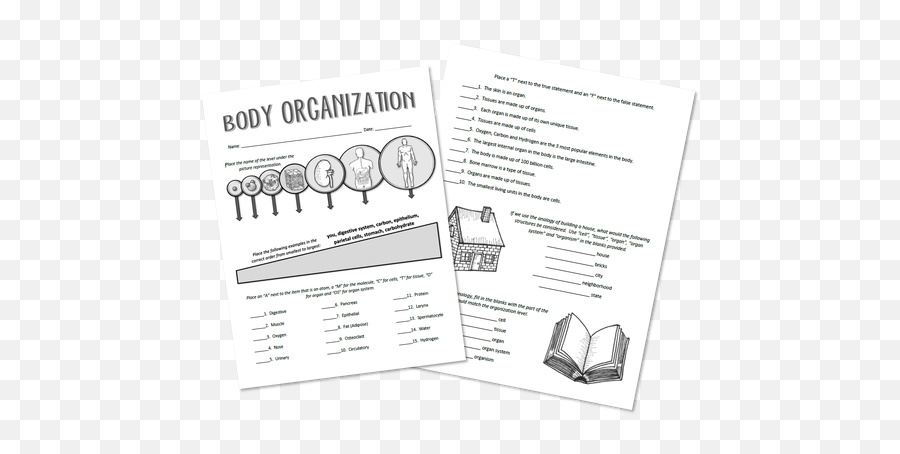 Body Systems - Amped Up Learning Document Emoji,Groundhog Day Text Emoticons