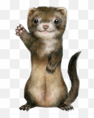 Ferret Cute Sticker - Stoat Emoji,Weasel Emoji