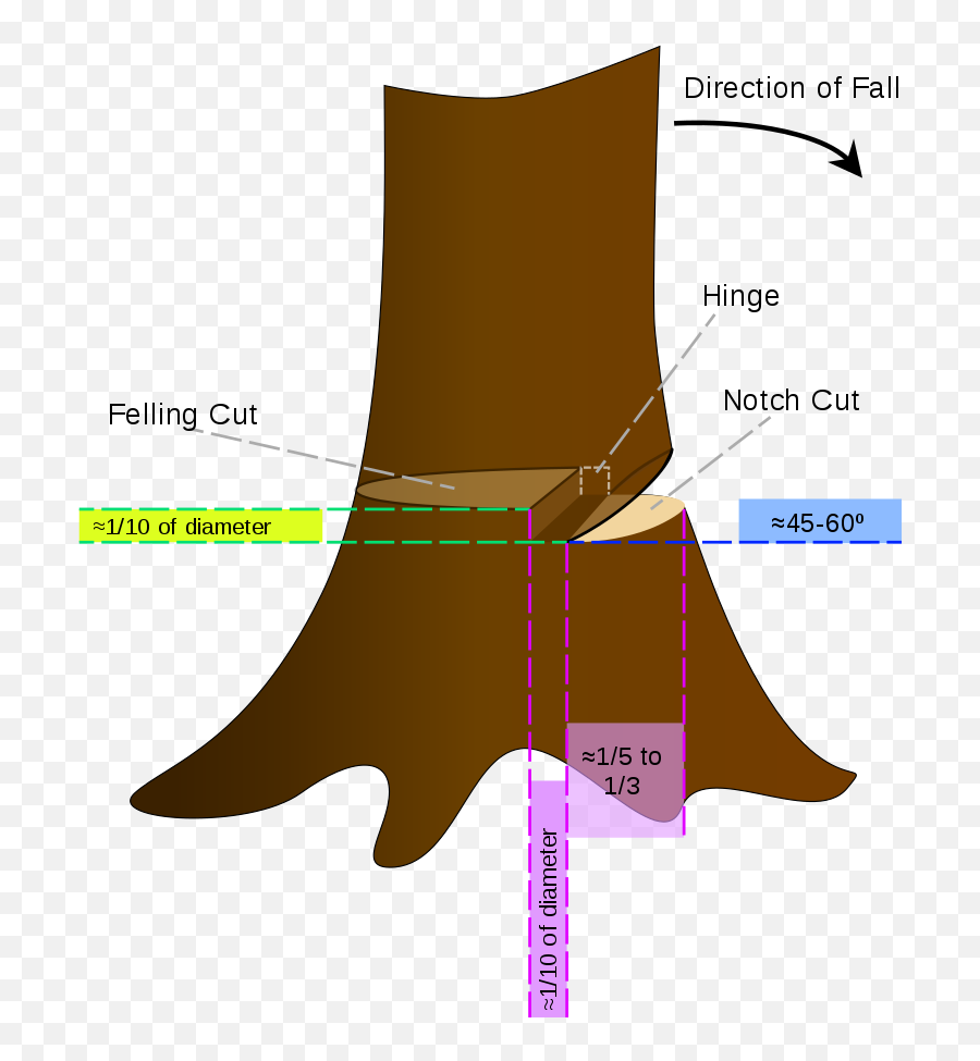 How To Cut Down A Tree Safely In 10 Steps - Lawnstarter Emoji,Cut & Colorful Emojis